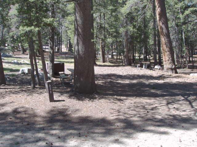 Tuoulumne Meadows Campground site a21