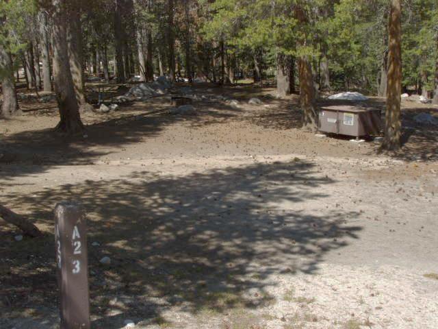 Tuoulumne Meadows Campground site a23