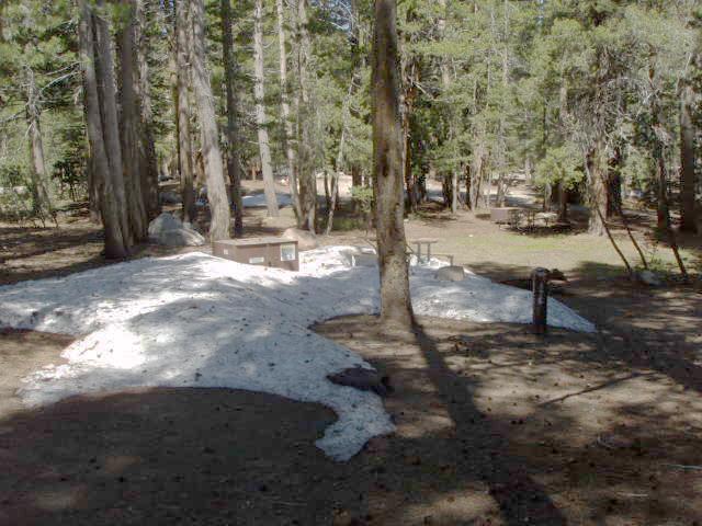 Tuoulumne Meadows Campground site a26