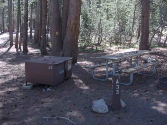 Tuoulumne Meadows Campground site a33