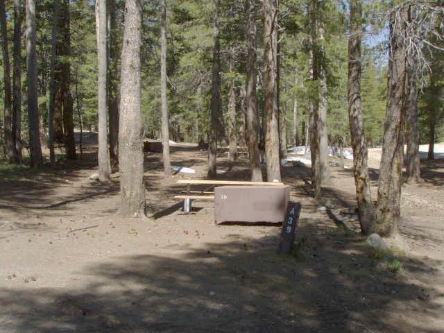 Tuoulumne Meadows Campground site a39