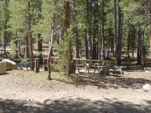 Tuoulumne Meadows Campground site a41