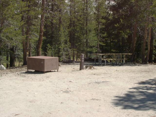 Tuoulumne Meadows Campground site a44