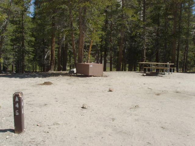 Tuoulumne Meadows Campground site a45