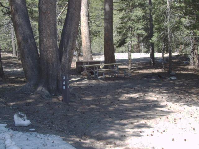 Tuoulumne Meadows Campground site a49