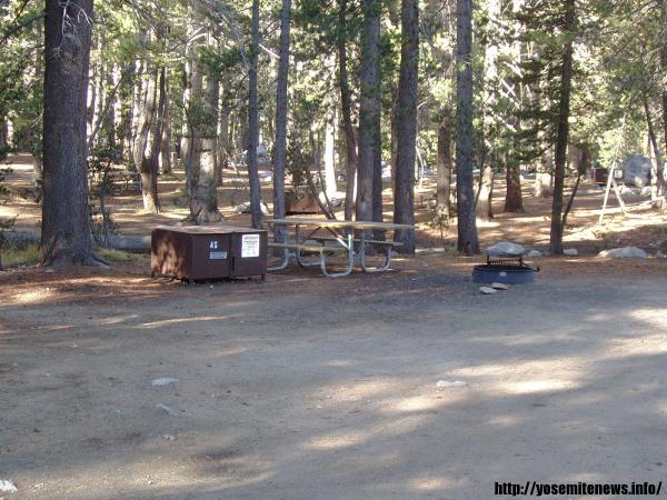 Tuoulumne Meadows Campground site a5
