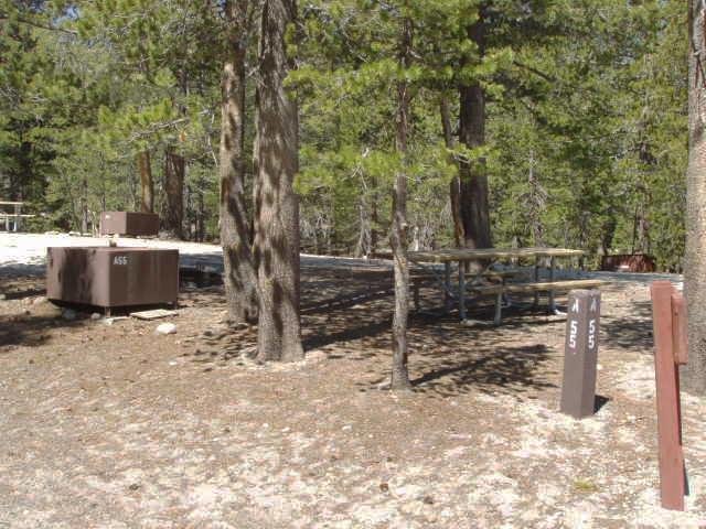 Tuoulumne Meadows Campground site a55