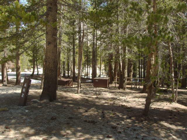 Tuoulumne Meadows Campground site a62