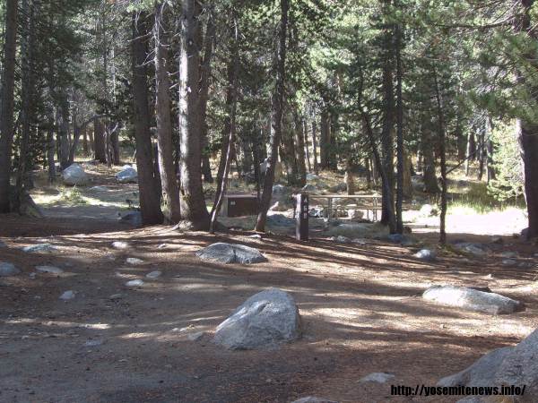 Tuoulumne Meadows Campground site a68