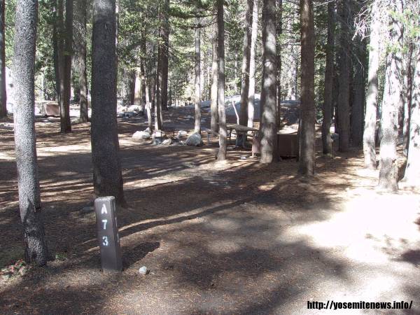 Tuoulumne Meadows Campground site a73