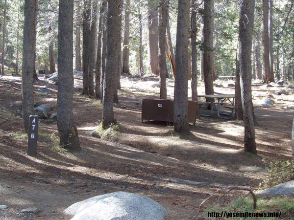 Tuoulumne Meadows Campground site a76