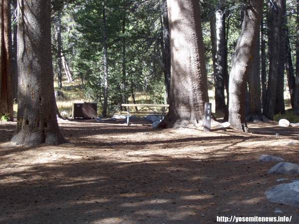 Tuoulumne Meadows Campground site a78