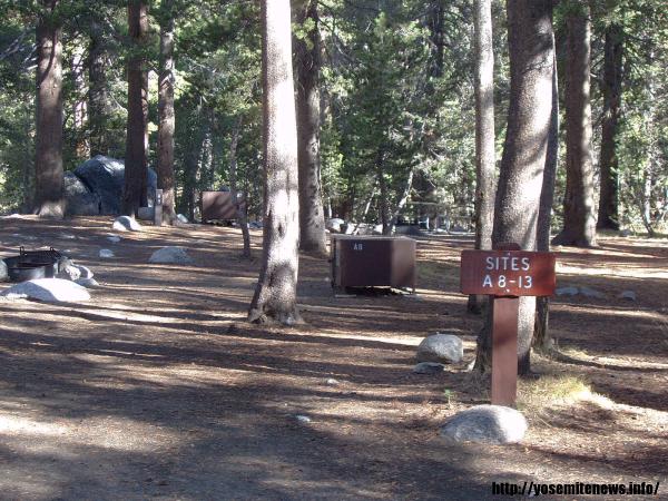 Tuoulumne Meadows Campground site a8