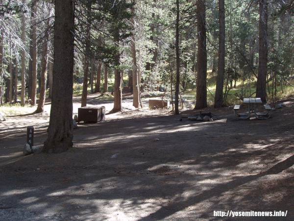 Tuoulumne Meadows Campground site a85