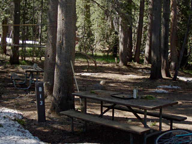 Tuoulumne Meadows Campground site b13