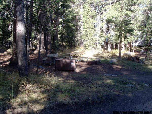 Tuoulumne Meadows Campground site b18
