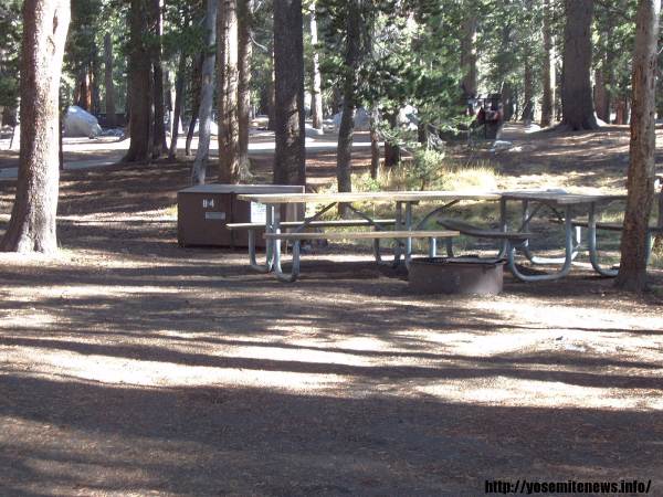 Tuolumne Meadows Campground -- Loop B Site 4