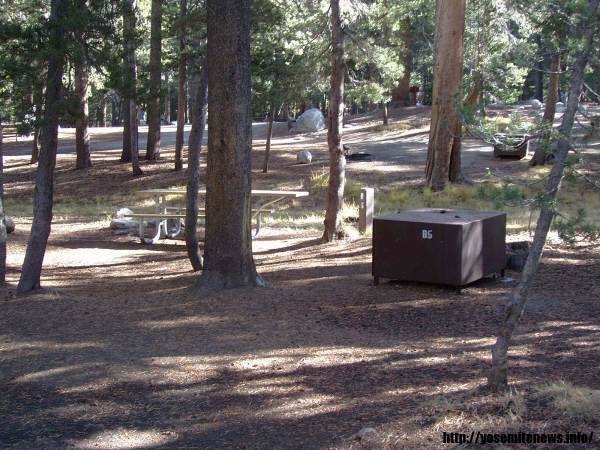 Tuoulumne Meadows Campground site b5