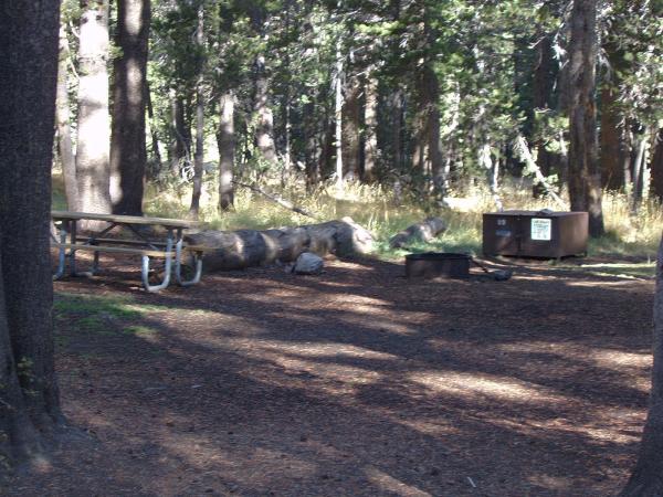 Tuoulumne Meadows Campground site b9