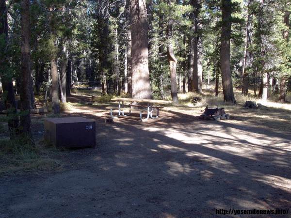 Tuoulumne Meadows Campground site c1