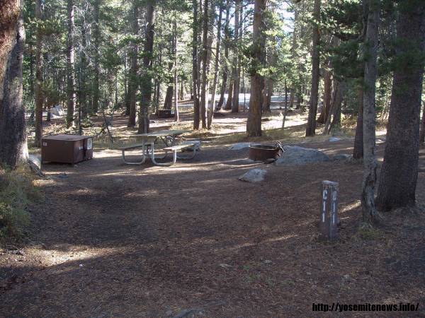 Tuoulumne Meadows Campground site c11