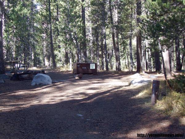 Tuoulumne Meadows Campground site c14