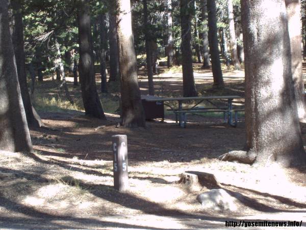 Tuoulumne Meadows Campground site c15