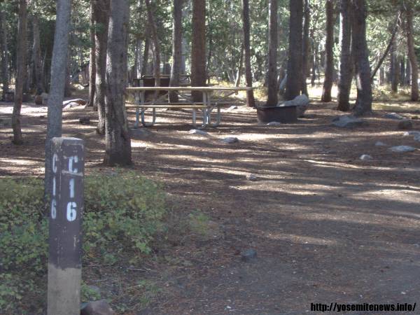 Tuoulumne Meadows Campground site c16