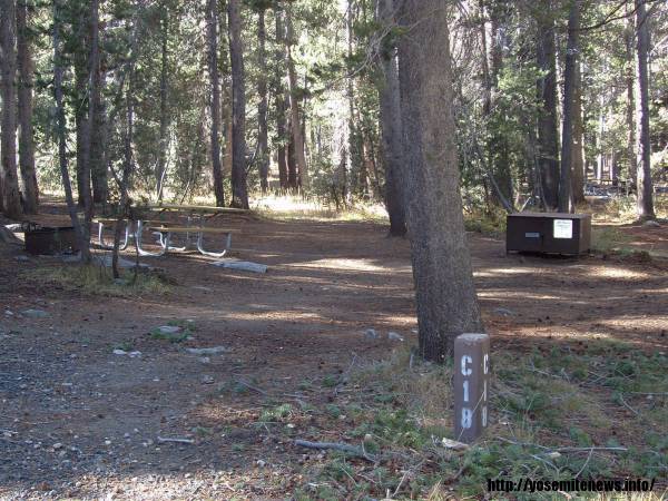Tuoulumne Meadows Campground site c18