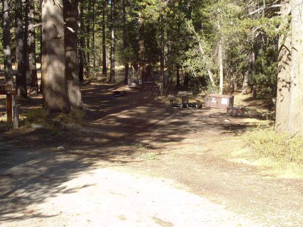 Tuoulumne Meadows Campground site c19