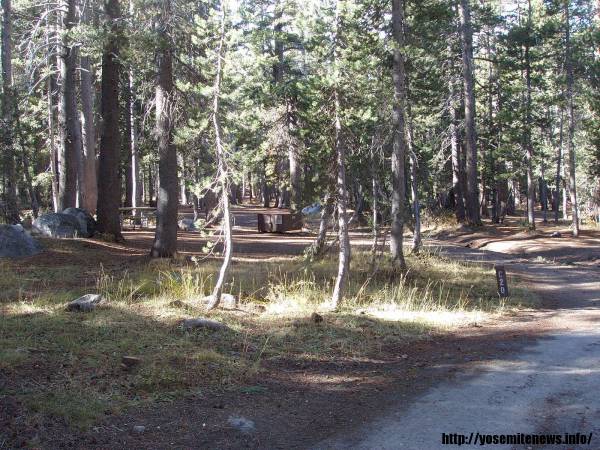 Tuoulumne Meadows Campground site c20