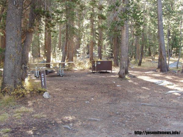 Tuoulumne Meadows Campground site c21