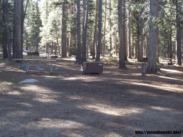 Tuoulumne Meadows Campground site c22