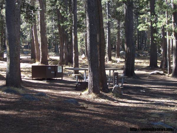 Tuoulumne Meadows Campground site c23
