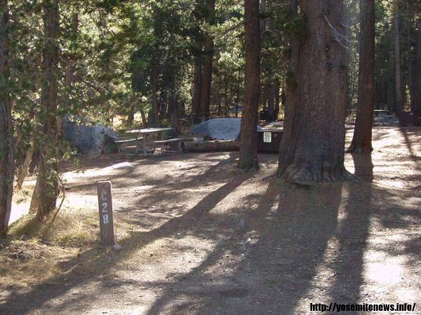 Tuoulumne Meadows Campground site c28
