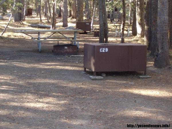 Tuoulumne Meadows Campground site c29