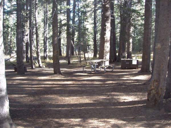Tuoulumne Meadows Campground site c3
