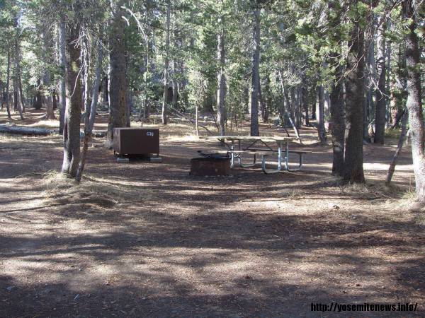 Tuoulumne Meadows Campground site c30