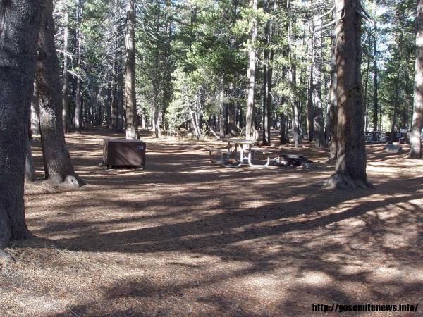 Tuoulumne Meadows Campground site c32