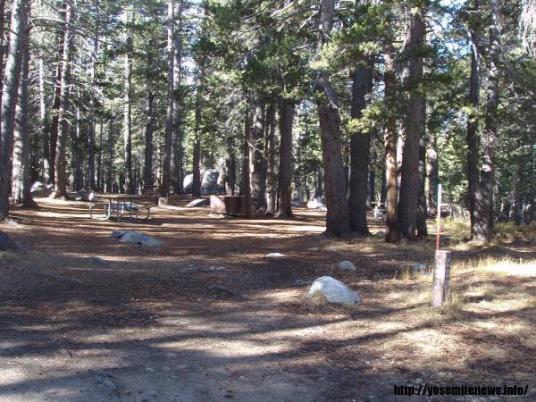 Tuoulumne Meadows Campground site c33