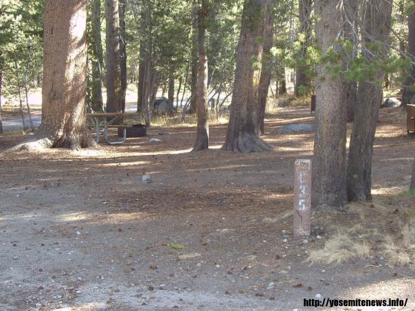 Tuoulumne Meadows Campground site c35