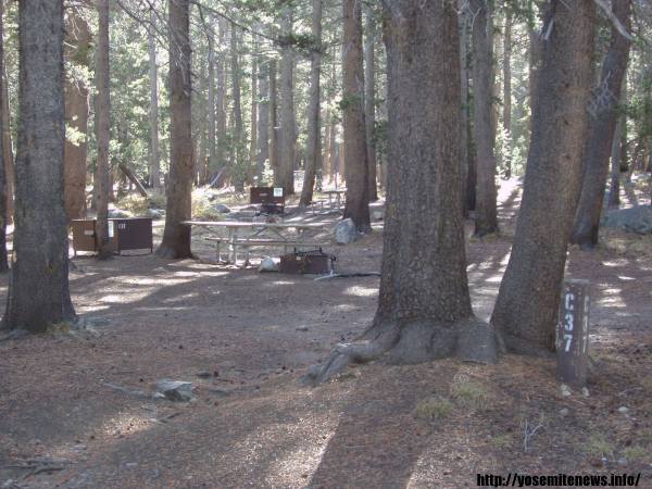 Tuoulumne Meadows Campground site c37