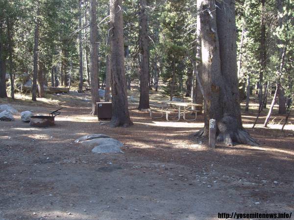 Tuoulumne Meadows Campground site c38