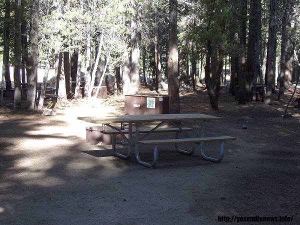 Tuoulumne Meadows Campground site c39