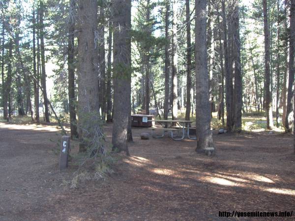 Tuoulumne Meadows Campground site c4