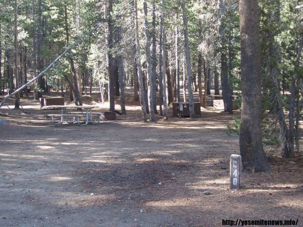 Tuoulumne Meadows Campground site c40