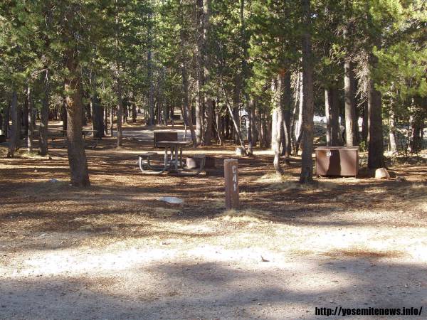 Tuoulumne Meadows Campground site c41