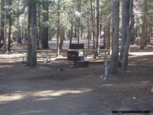 Tuoulumne Meadows Campground site c43