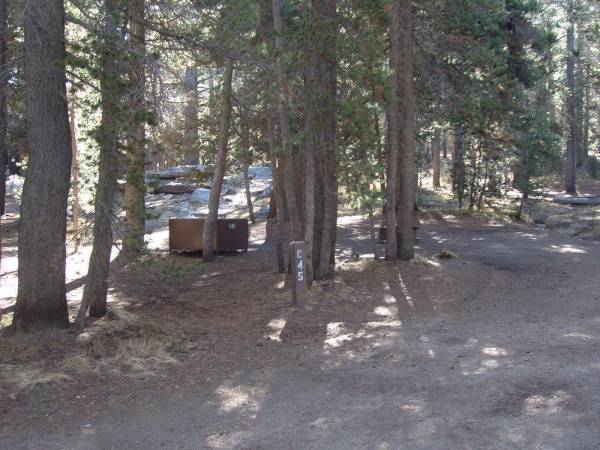 Tuoulumne Meadows Campground site c45