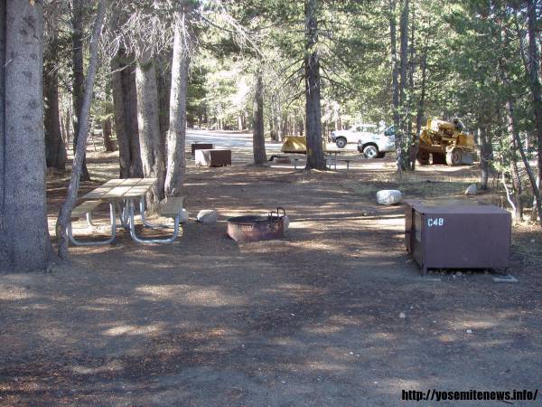 Tuoulumne Meadows Campground site c48